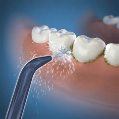 Waterpik™ Handheld Cordless Precision Low-Flow Tip